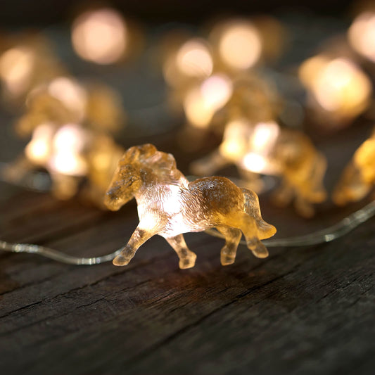 How to Choose Fairy Lights: A Beginner's Guide