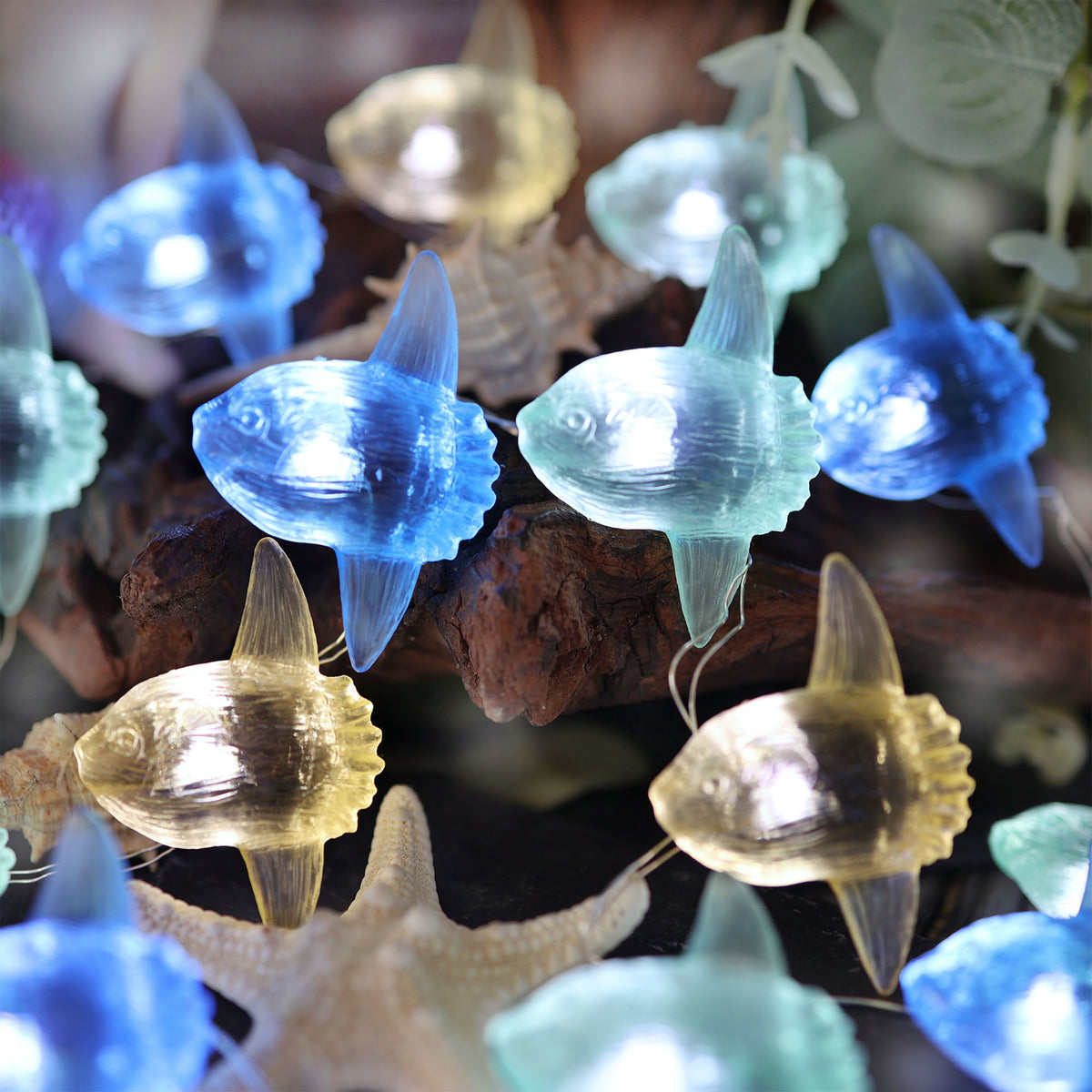 Mola Mola Ocean Sunfish Fairy String Lights