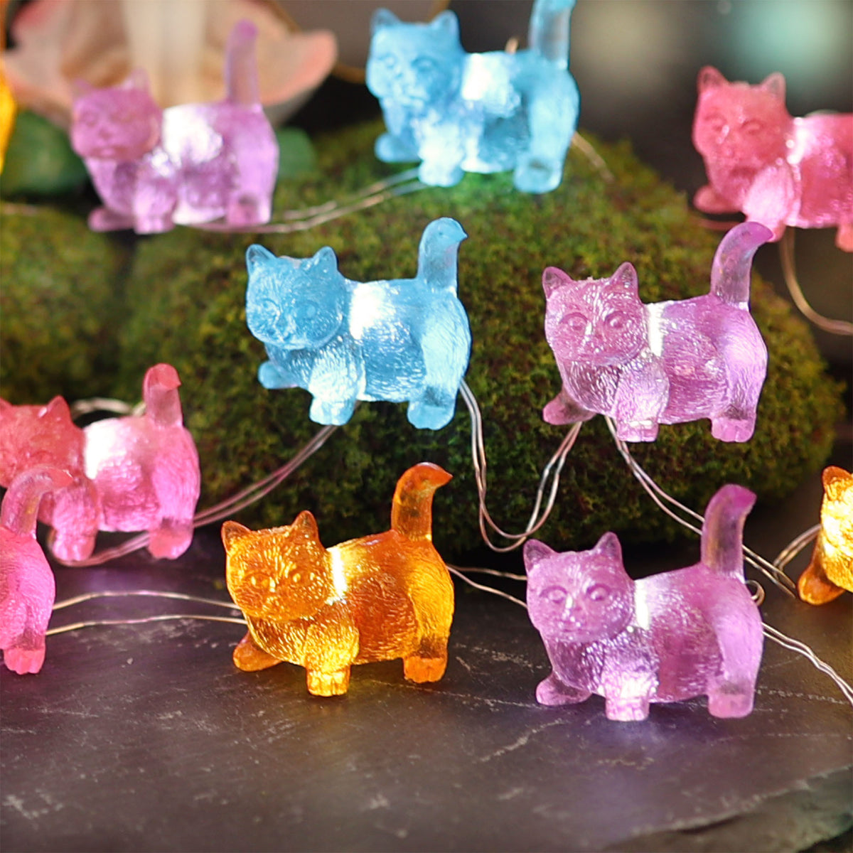 3D Cat Fairy Lights for Cozy Bedrooms, Shelves & Cat Lovers