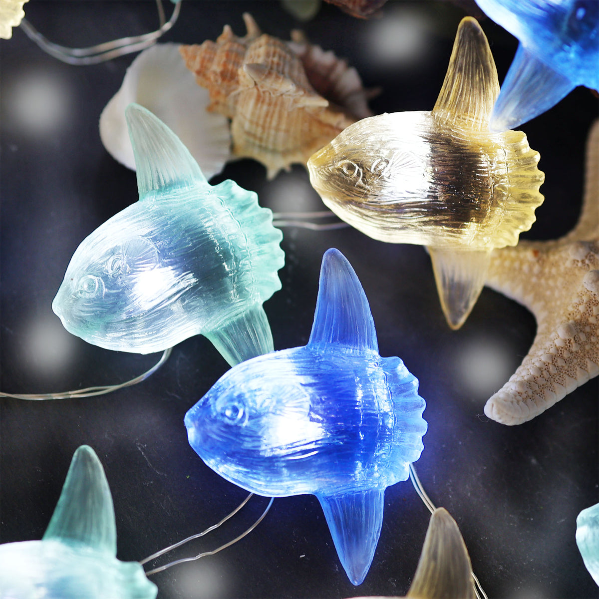 Mola Mola Ocean Sunfish Fairy String Lights